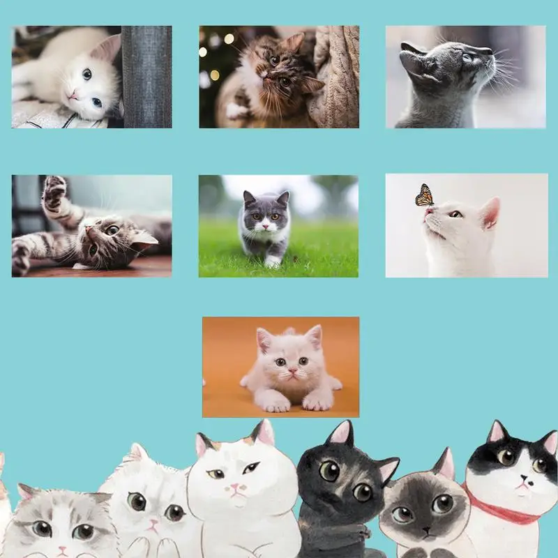 Dog Calendar 2024 Creative Dog Calendar Daily 2024 A4 Wall Calendar Dog Calendar Daily Wall Decor For Apartment Dormitory