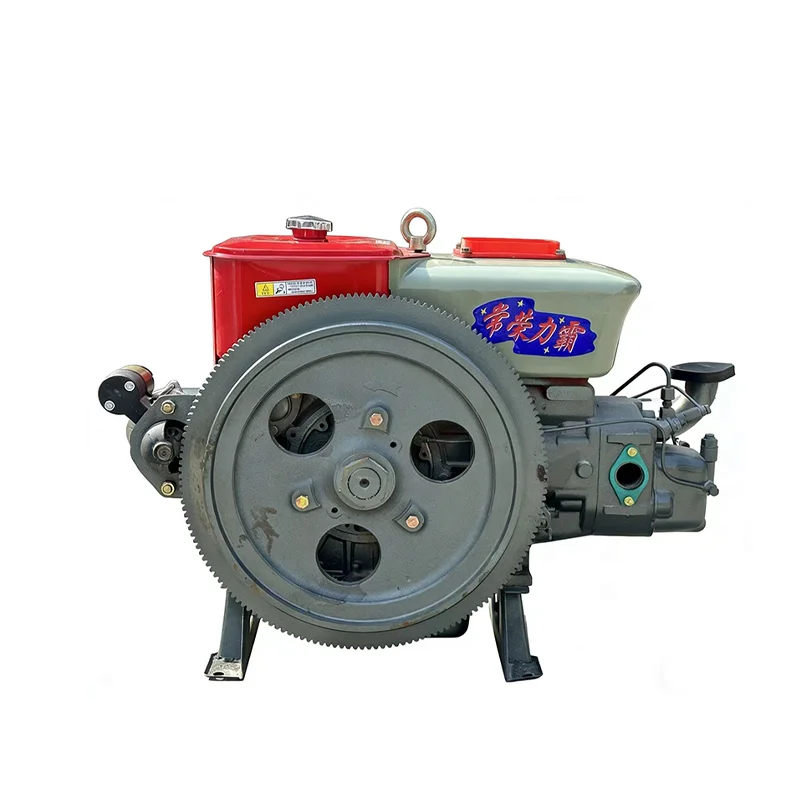 Water-Cooled Small Single-Cylinder Diesel Engines L25 ZS1115 ZS1130 ZS1135 for Agriculture, Ships & Mining Equipment