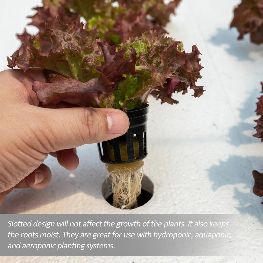 

50Pcs Garden Net Cups Pots Plastic Slotted Mesh Wide for Efficient Plant Growth in Hydroponic Systems