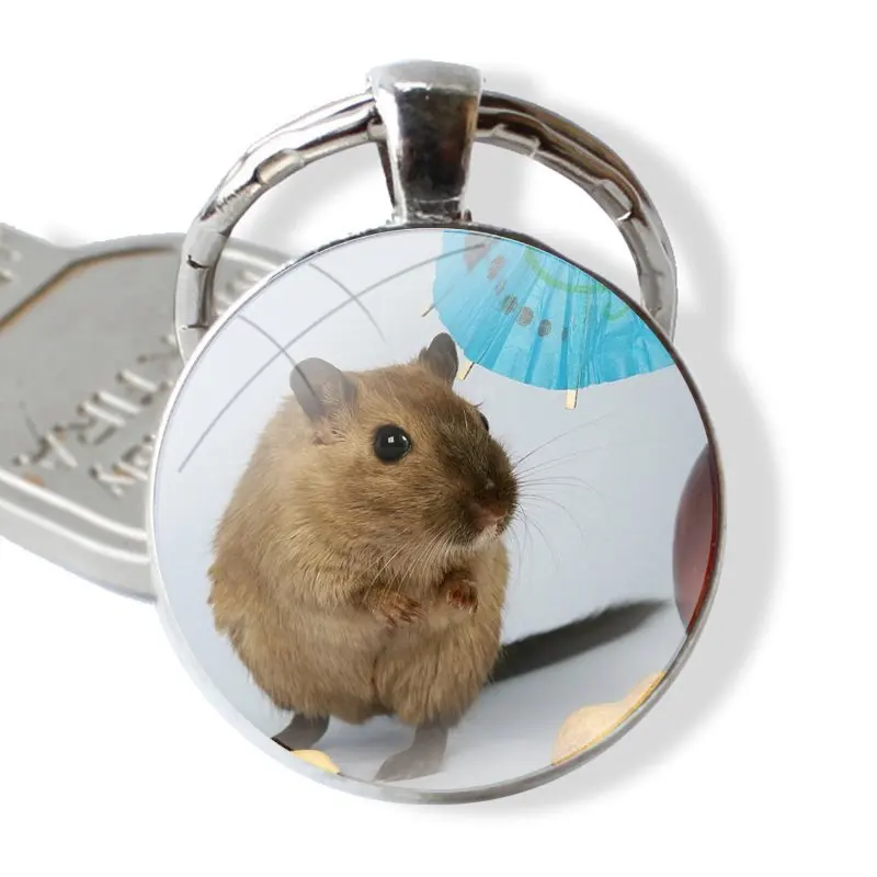 squirrel Guinea Pig Mouse peanut Glass Metal Pendant Key Chain Classic Men Women Key Ring Accessories Jewelry Gifts