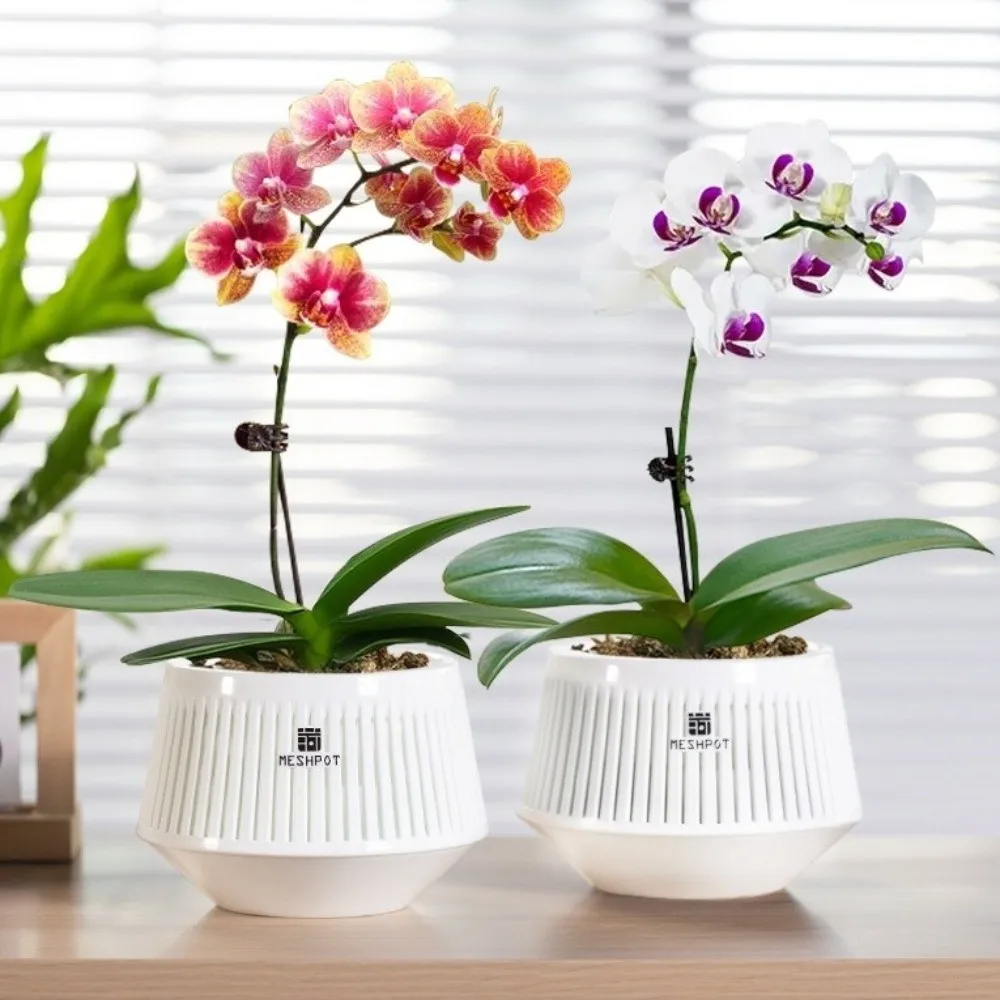 Split Type Meshpot Orchid Pot Moisturizing Thickening Resin Flower Pot With Holes Butterfly Orchid Flowerpot Bonsai Planting