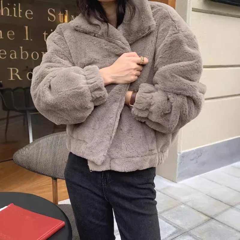 Women Winter Fleece Warm Coat Stand Collar Plush Thick Sweatshirts Female Korean Fashion Casual Long Sleeve Zipper Clothes Y2k