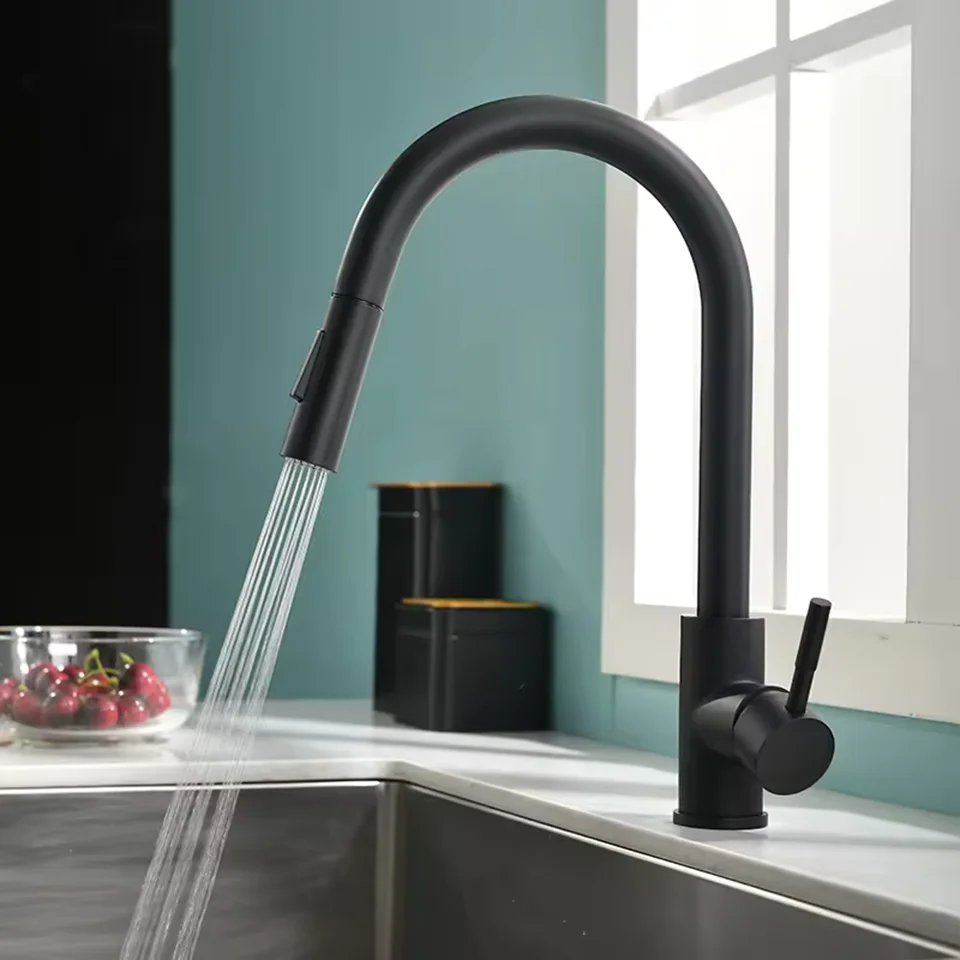 Kitchen Faucet Black Pull Out Mixer Hot and Cold Water Two Function Deck Mounted Single Handle Taps Wash Sink Stainless Steel