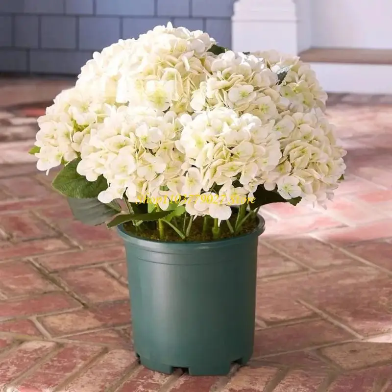 C4DF Artificial hydrangeas for outdoors – ultraviolets radiation-resistant, waterproof, and wind-resistant