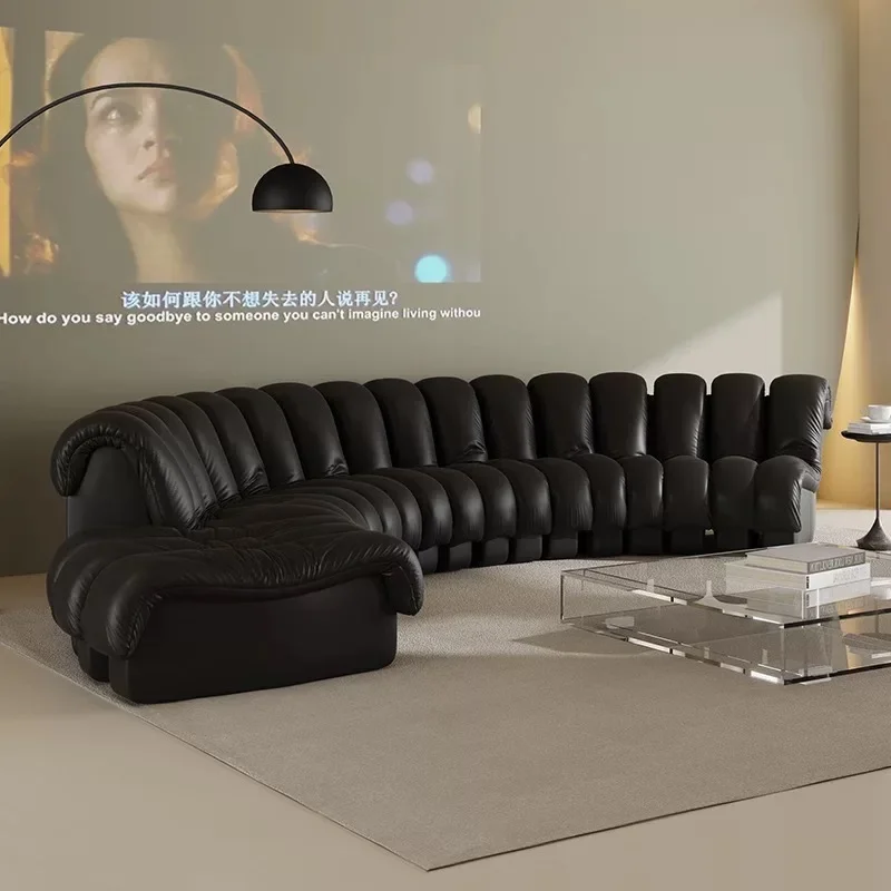 Curved sofa leather modern simple S-shaped leather art module combination large sofa