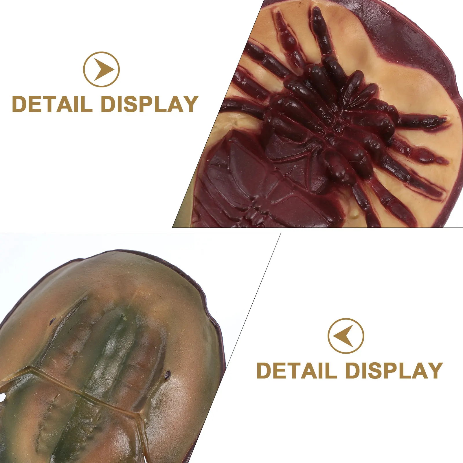 

1 комплект, 1 комплект, подкова, краб, обучающий детский рост животных, домашний декор для рабочего стола, пластиковый стебель премиум-класса, научный подарок для детей