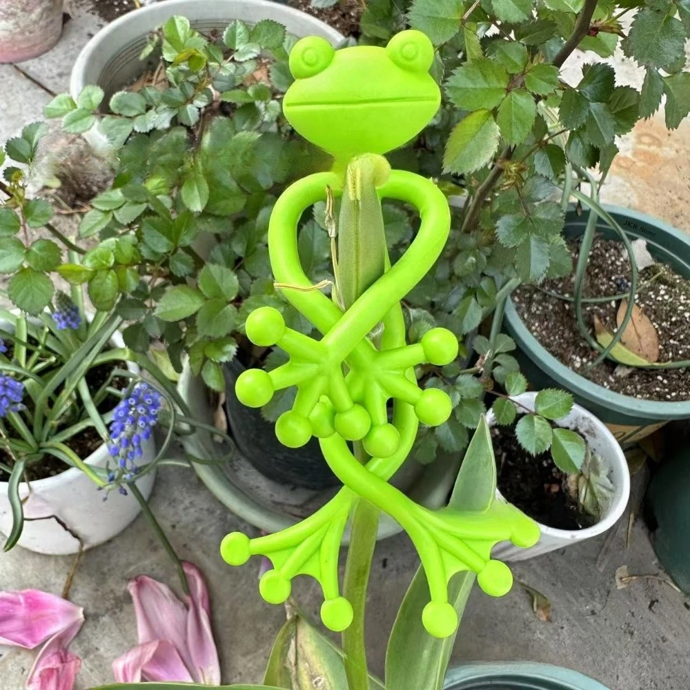 เสาค้ำต้นมะเขือเทศ 5 ชิ้น สำหร - Monstera Thai Constellation บทวิจารณ์และราคา