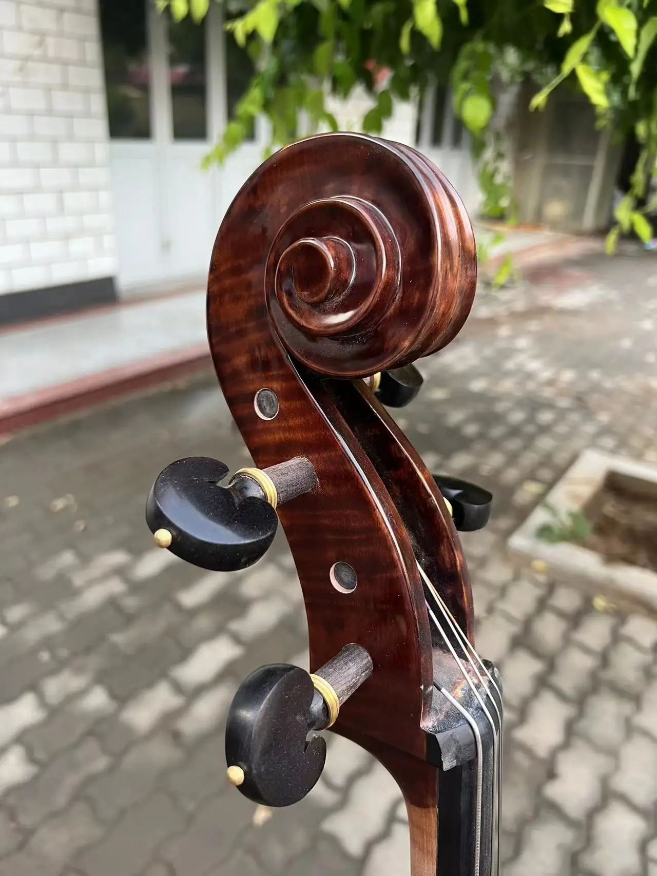 Rare Professional song Cello 4/4 Solid Bird eye maple back old spruce top#15715