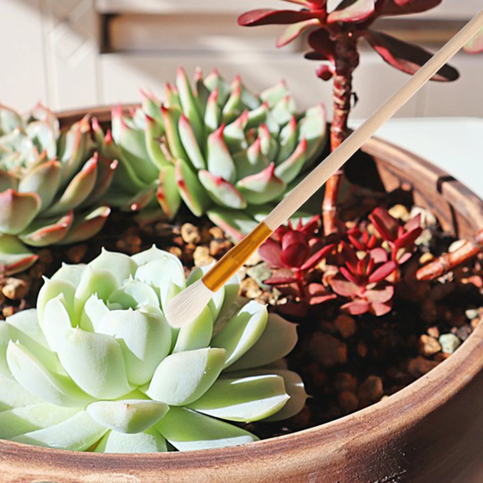 5 قطعة فرشاة تعبئة الخضار حديقة أداة شجرة الفاكهة نبات عصاري المطحون اليد المطحون للطماطم الفلفل #4