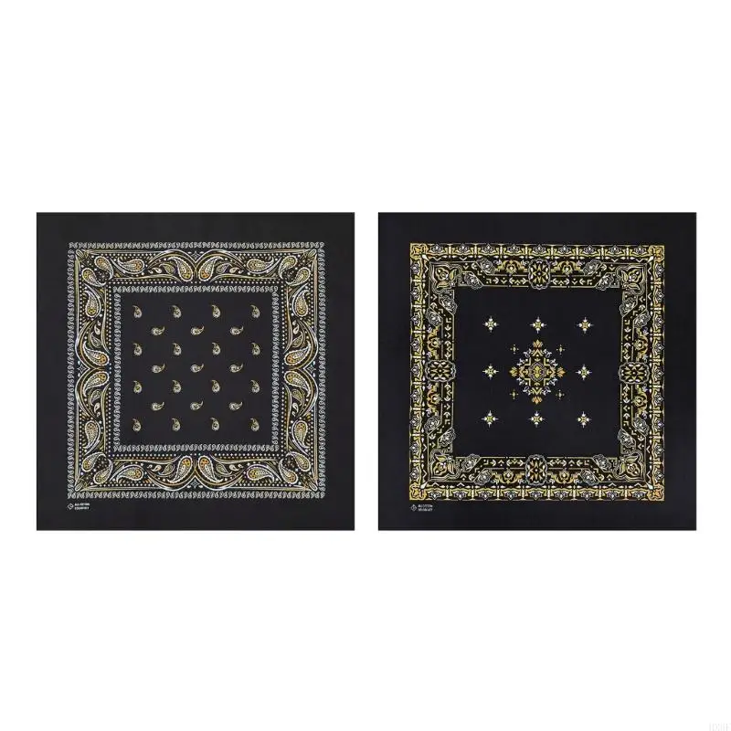 HX6F Paisleys Patter