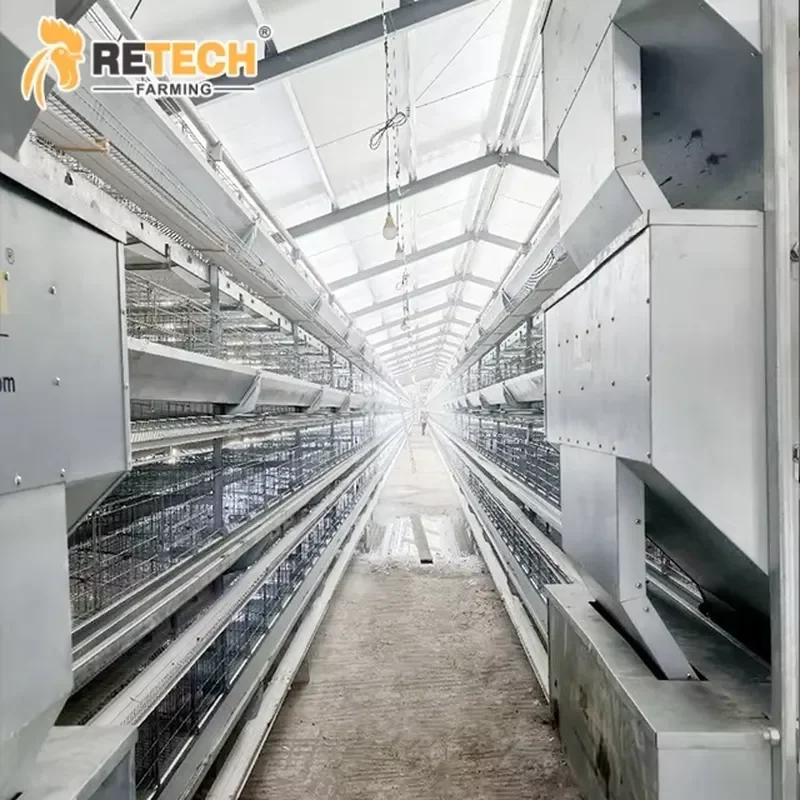2025 New Poultry Equipment for Laying Hens Battery Cages with Egg Collection System