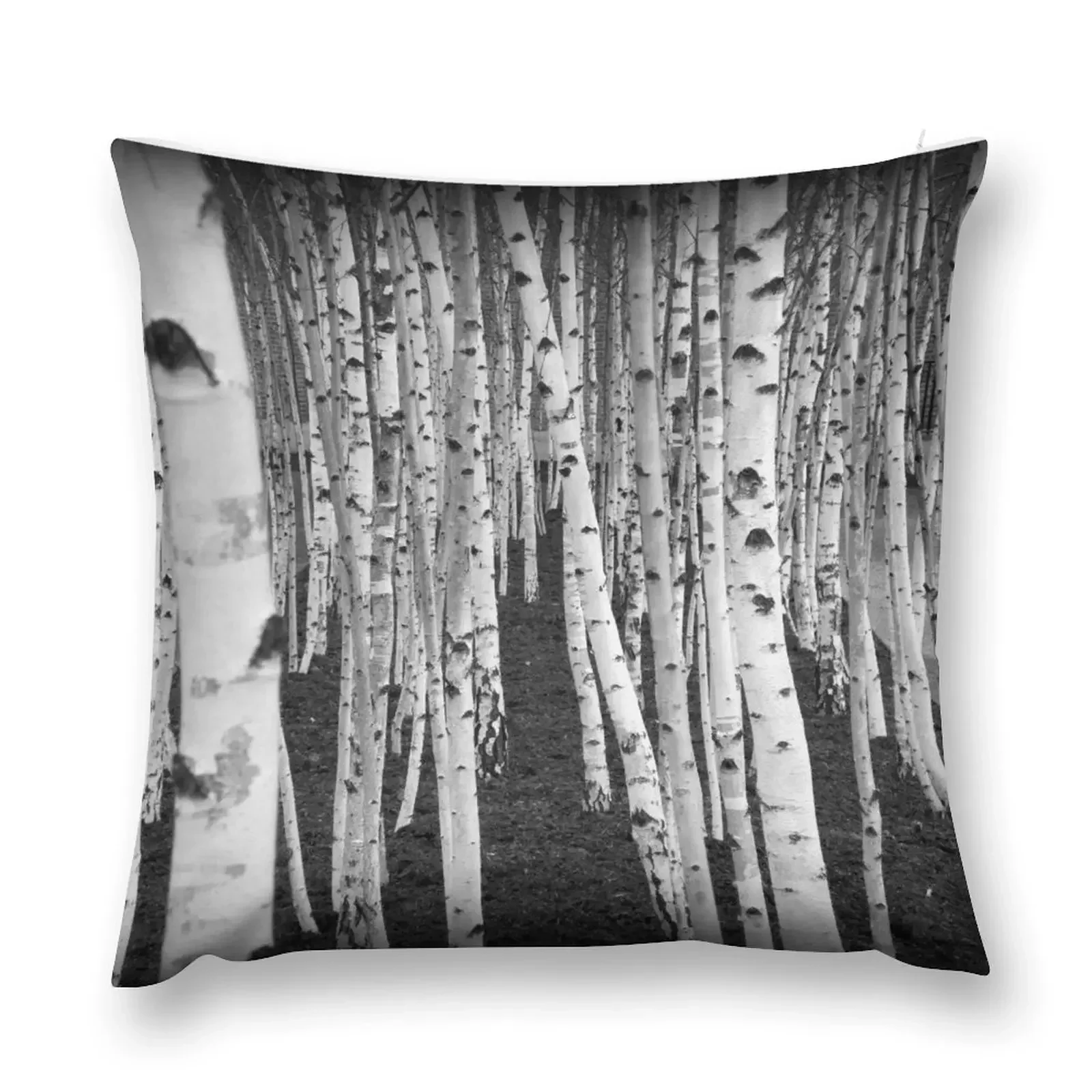 

Silver Birch Trees Throw Pillow luxury home accessories Plaid Sofa pillow