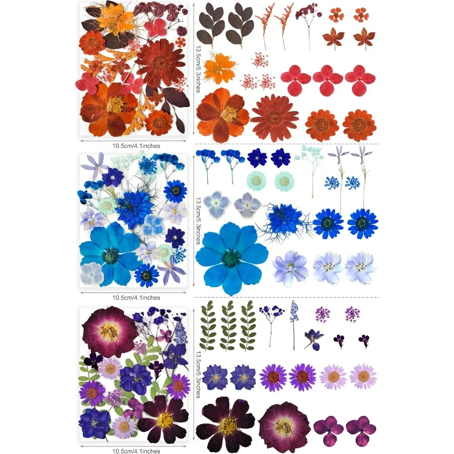 레진 공예용 건조 압화 320개 대량, 진짜 천연 압화와 두 장의 나비 스티커 포함, 이상적인 선택