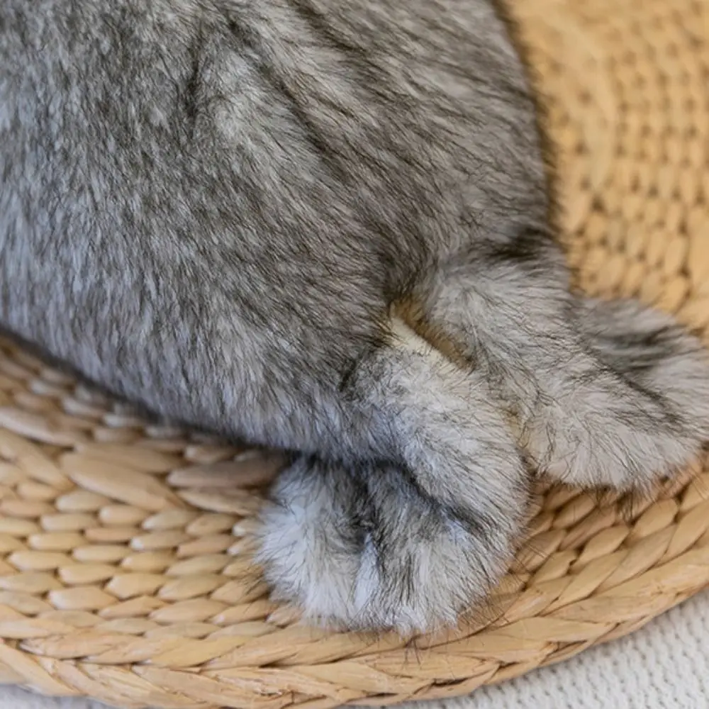 Jouets en peluche Lion de mer en coton PP, Collection douce, poupées en peluche d'animaux du monde de la mer, sceau moelleux confortable, décoration de maison