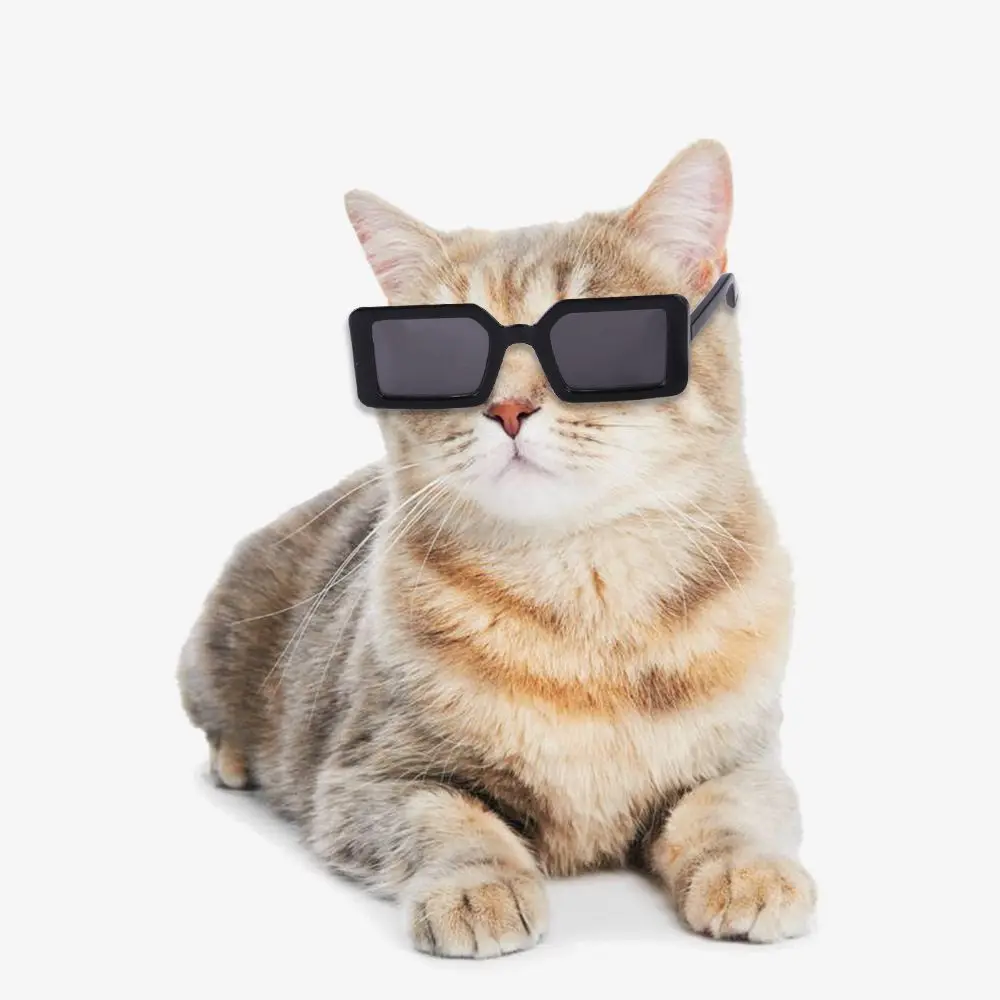 Pet Accessories Photograph Props Multicolor Pet Eyeglasses Square Glasses Cat Glasses Dog Sunglasses