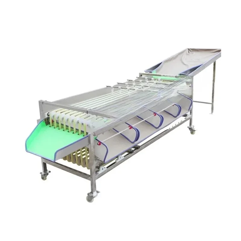 Cherry fruit sorter, olive sorter, track screening machine, passion fruit size grading