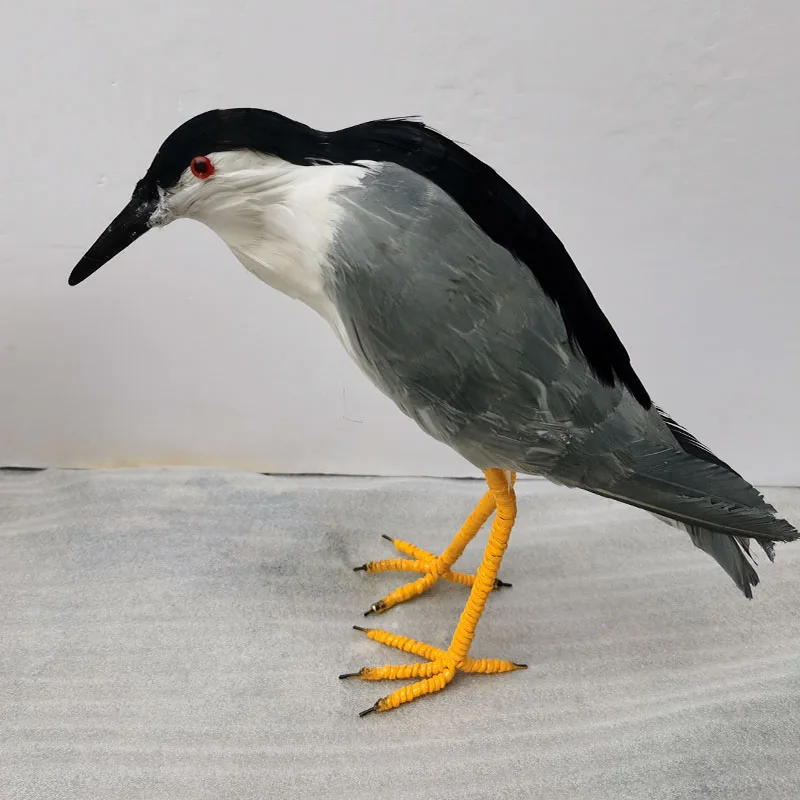 

new real life bird model foam&feather night heron Black crown garden decoration gift about 35cm xf2852
