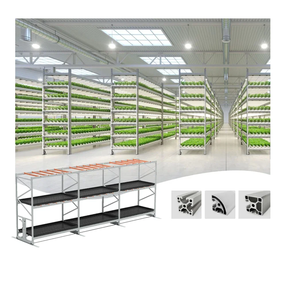 พืชเพาะปลูกในร่มหลายชั้นเติบโตระบบเคลื่อนย้ายได้ Rolling Hydroponic แนวตั้ง Farming Mobile Grow Rack