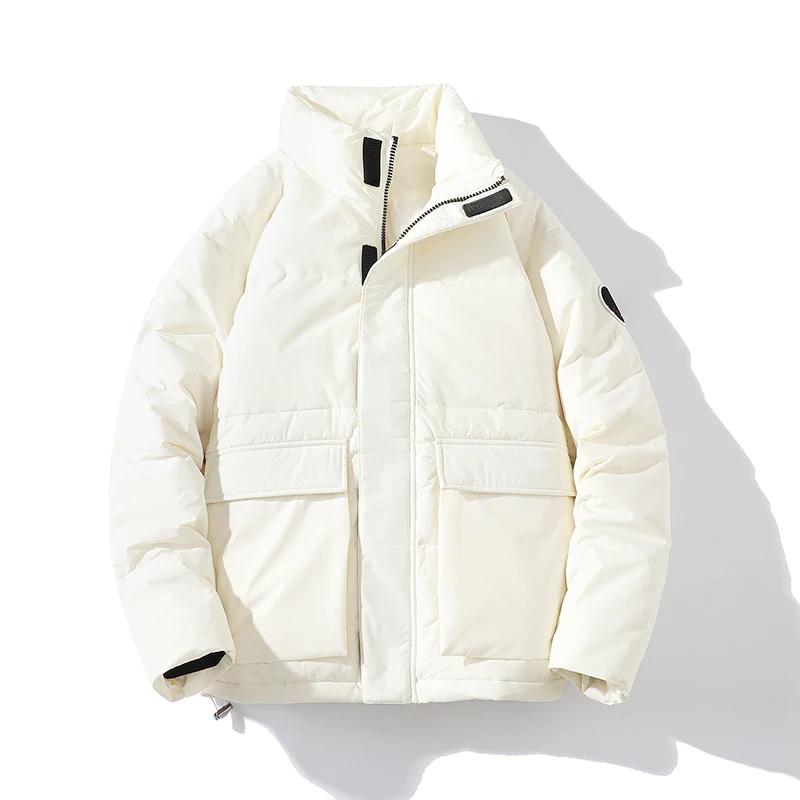 

Новая мужская пуховая куртка 2025 года: свободный крой, повседневный стиль, воротник-стойка, наполнитель из полиэфирного волокна, стандартная длина, верхняя одежда для студентов колледжей