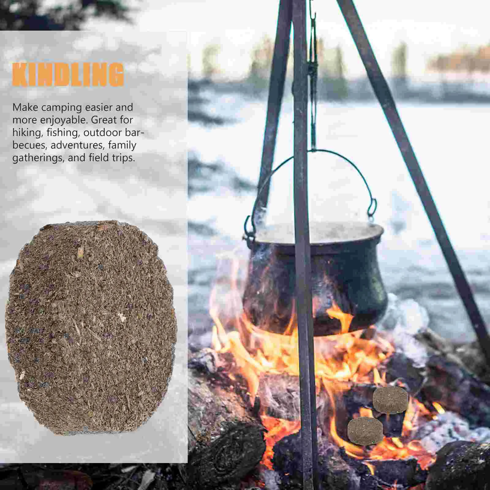 10 Pcs Natural Firewood Starter Outdoor Picnic Small Hot Pot Charcoal Ignition Block Lighters Emergency Survival Blocks