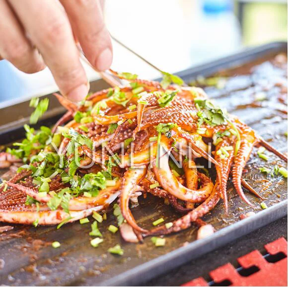 شواية كهربائية وفحم مزدوجة باستخدام شواية شواء منزلية خارجية ذات سعة كبيرة وفصل فحم الزيت وفرن شواء بدون دخان