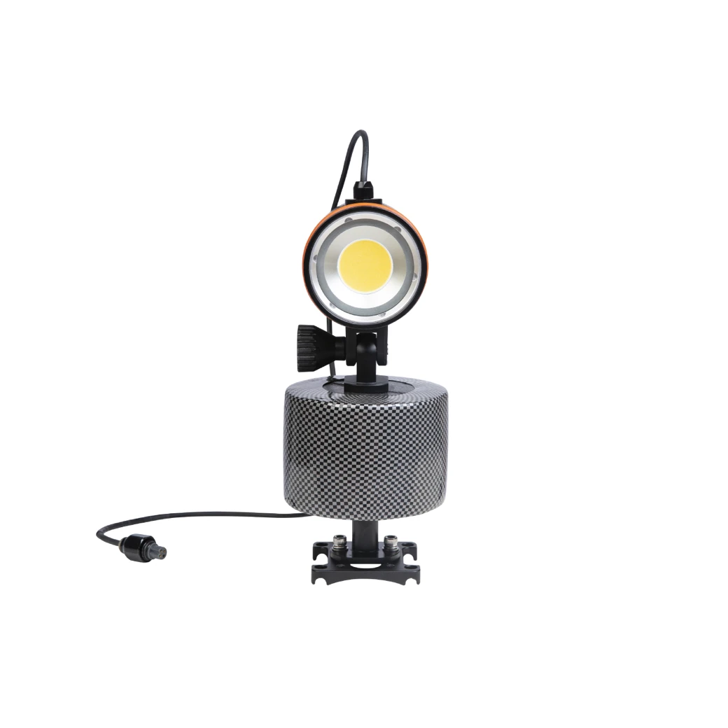 CHASING Underwater LED Video Light Compatible With CHASING M2/CHASING M2 PRO/CHASING M2 PRO MAX