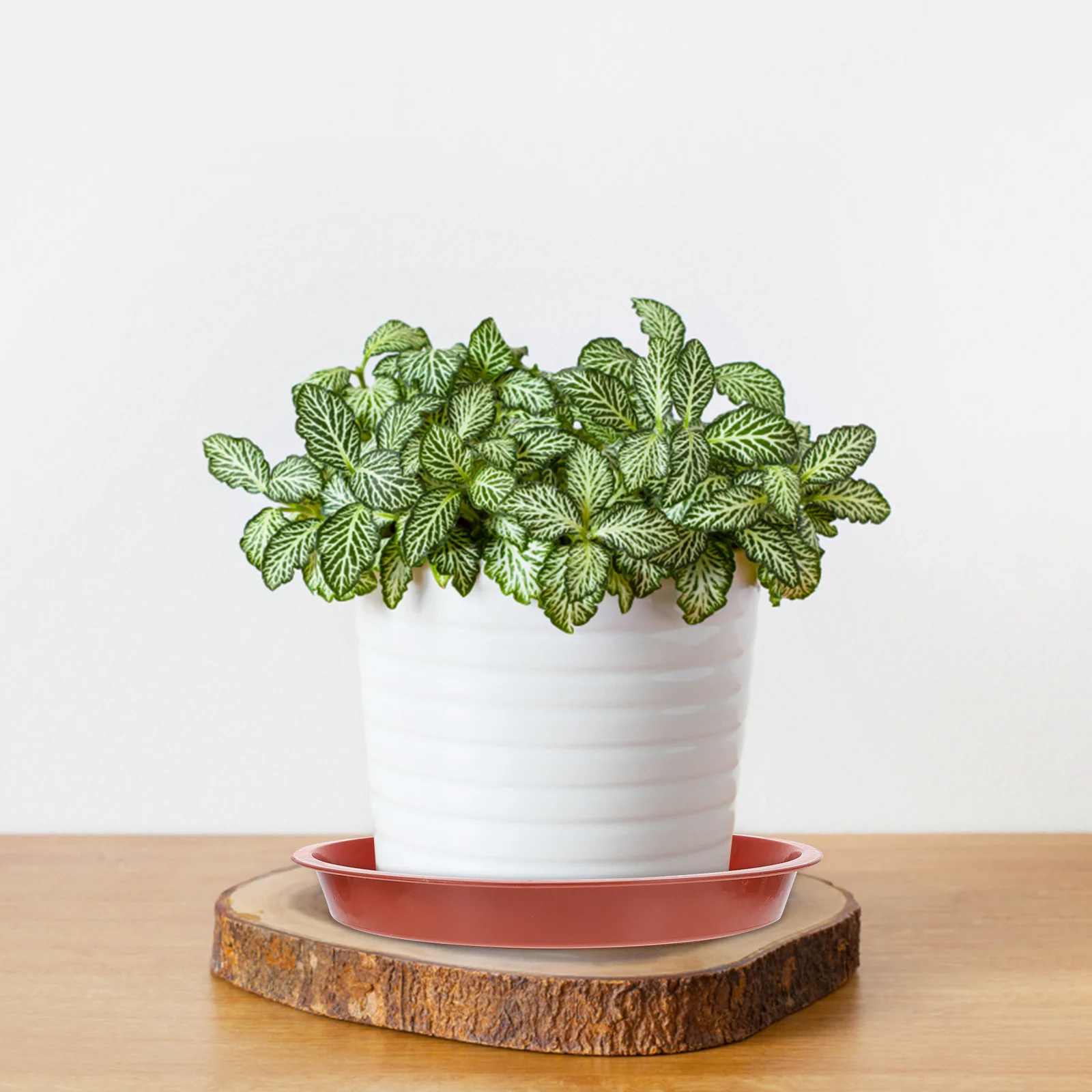 

30 шт. многоразовых поддонов для цветочных горшков, легкие основания для садовых горшков для контроля проливания почвы, легко моющиеся круглые поддоны для дома