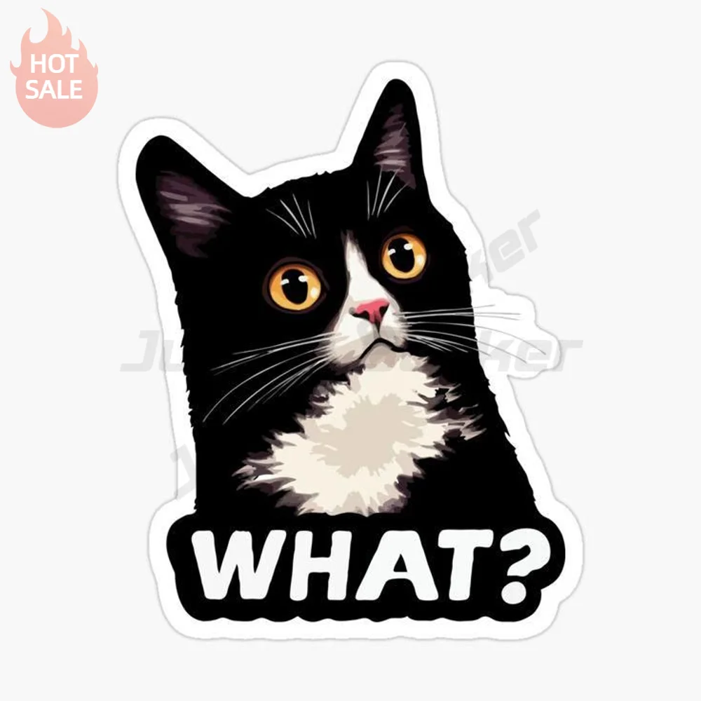 Funny Meme Cat What Cartoon Vinyl Sticker Novelty UV Resistant Scratch Cover For Car Body And Rear Window Decal Car Styling