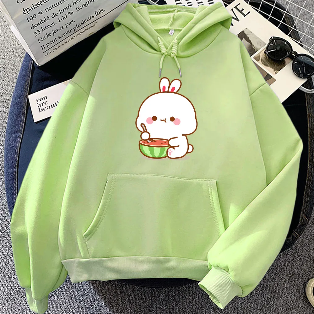 

Rabbit Eating Watermelon Printed Hoodies Sudaderas Women/Men Long Sleeve Hooded Pullovers Winter Kawaii Cartoon Sweatshirts Cute