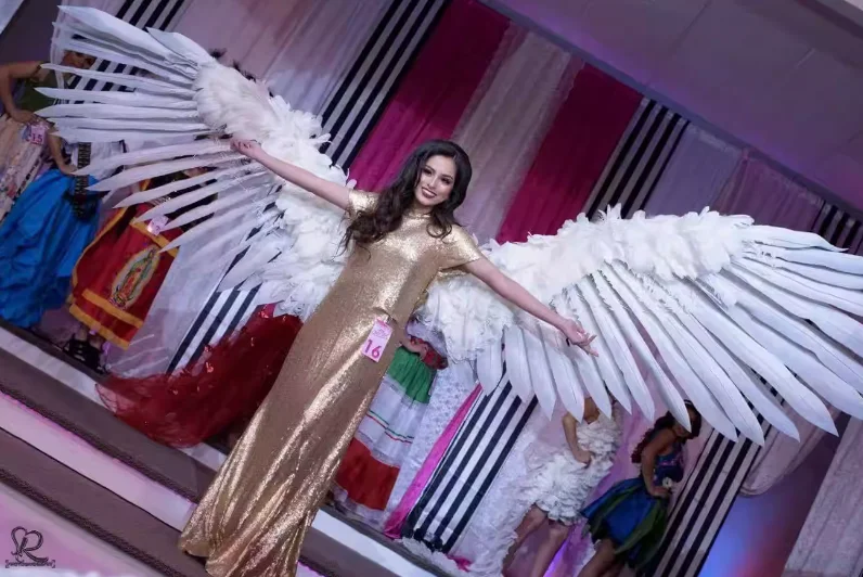 

Halloween Cosplay Large Feather Wings Electric Retractable with Remote Control Stage Prop No Battery