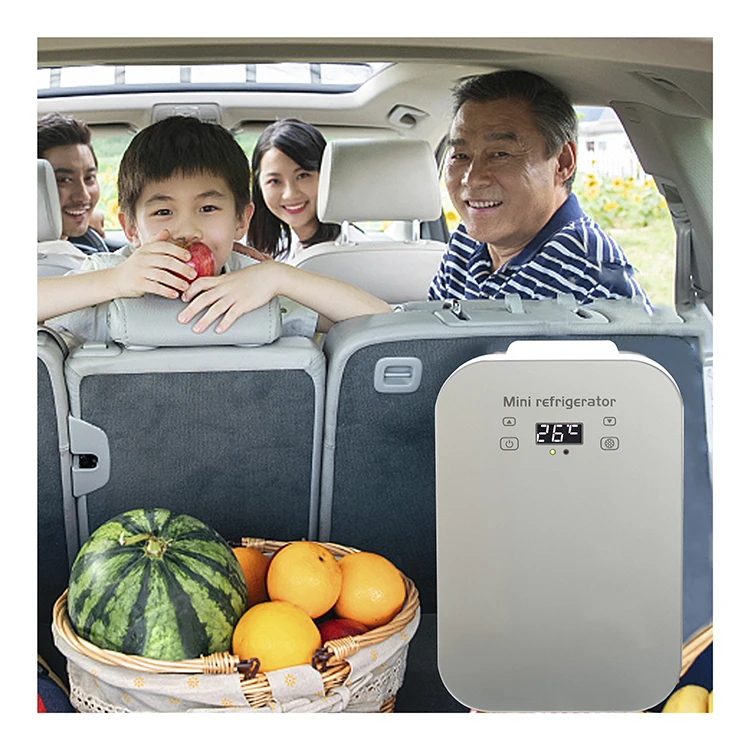 ثلاجة صغيرة ثنائية الاستخدام سعة 8 لتر - ثلاجة محمولة للسيارة والمكتب للمكياج/المشروبات (طاقة USB، 12 فولت/24 فولت، تبريد قابل للتعديل)
