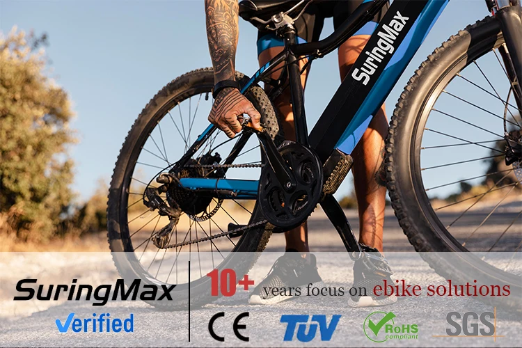 20 26 Inch Fat Tyre Snow Front Rear Rims Set Magnesium Alloy Wheel Hub Motor in Wheel Electric Motor