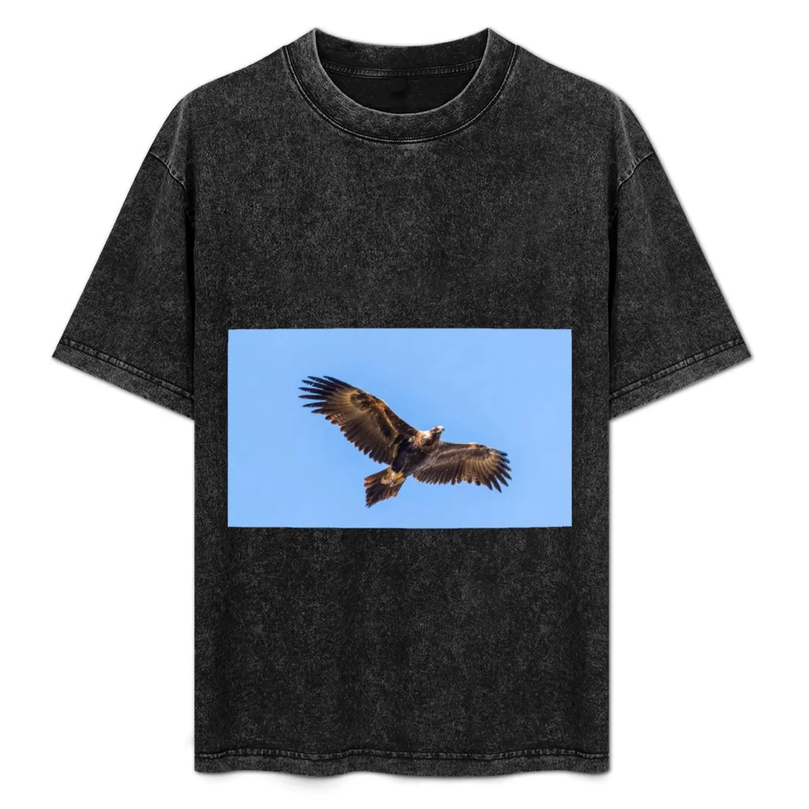 

Wedge-tailed eagle T-Shirt basketball graphic tees summer clothes rapper graphic tees sweat shirts, men