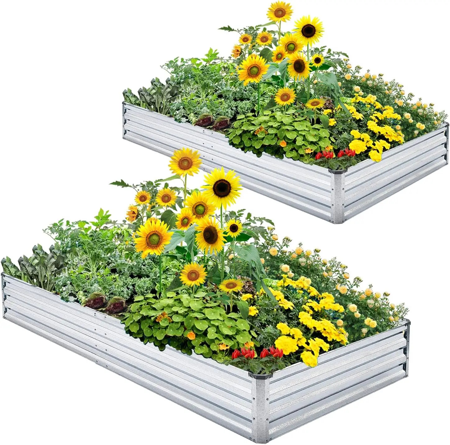 

Набор из 2 оцинкованных металлических приподнятых грядок 4'x8'x1' для цветов, овощей и трав