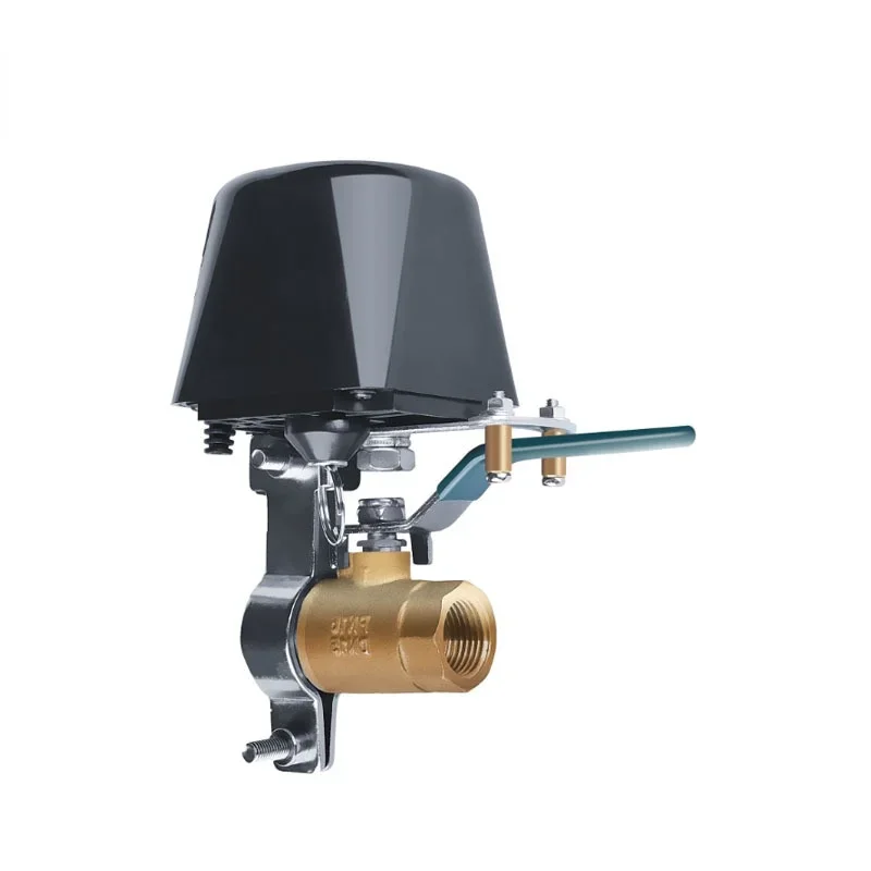 Válvula de Gas inteligente con WiFi, Control de automatización del hogar, funciona con asistente de Google