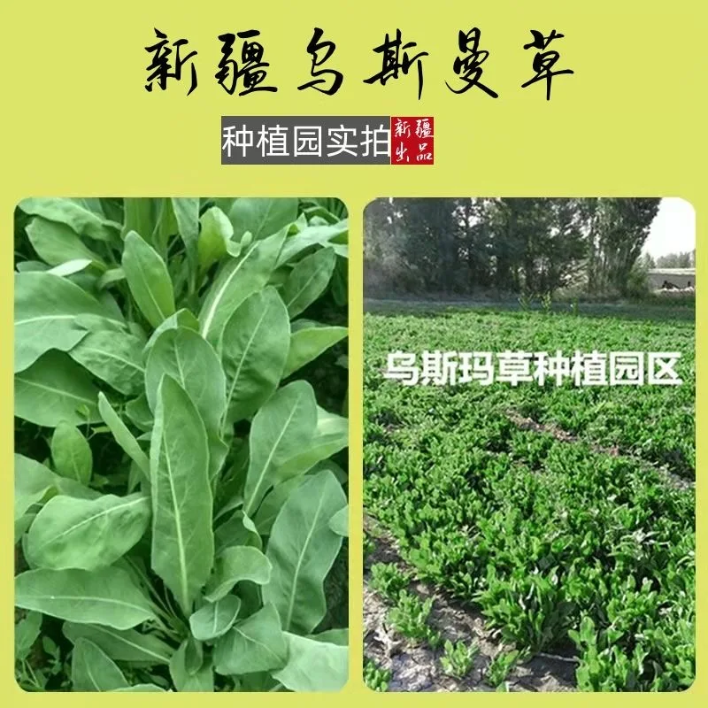 Sabun Buatan Tangan Polygonum Multiflorum, Batang Sampo Rumput Usman 120g