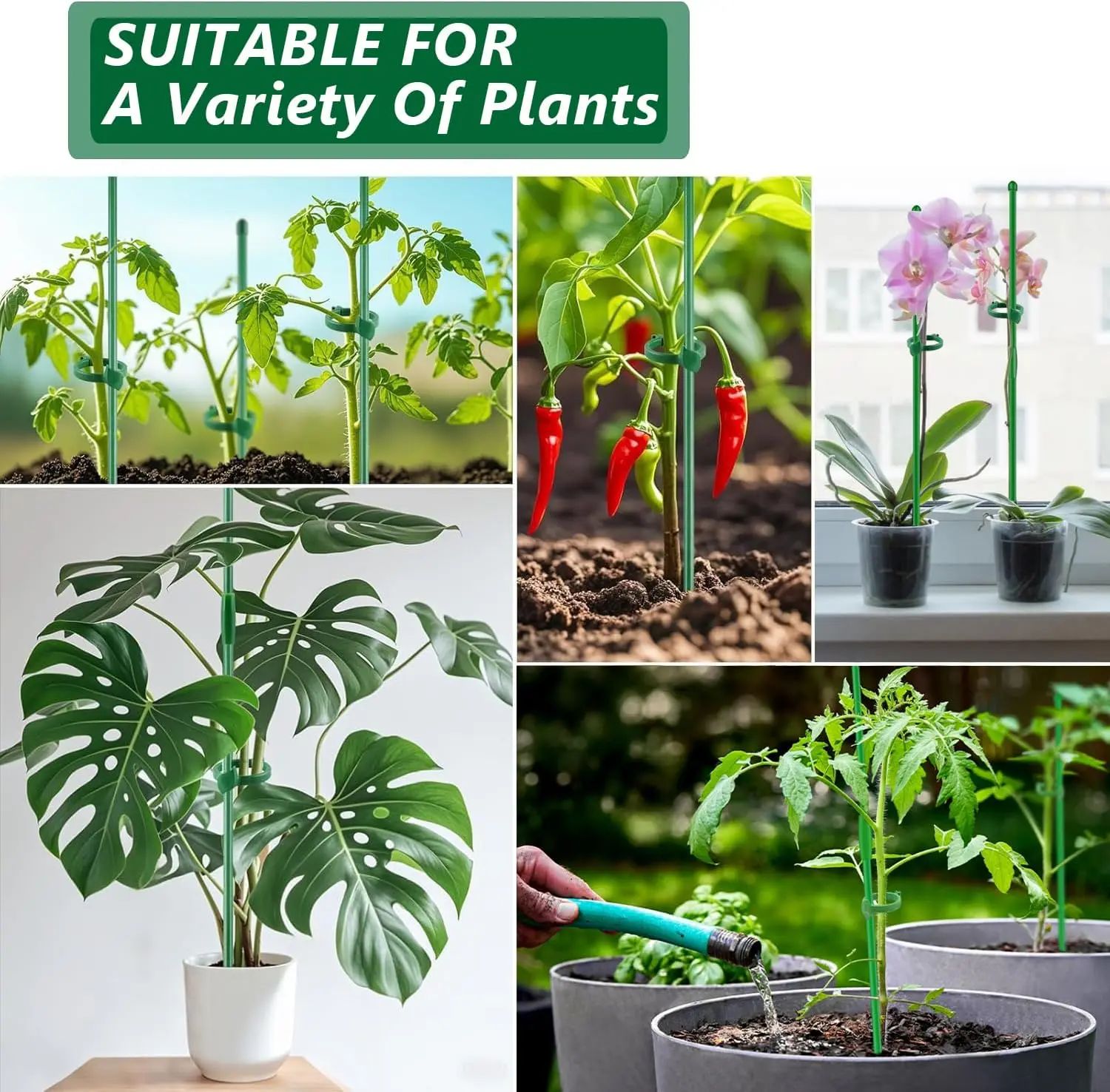 حديقة خضراء حصص قابل للتعديل دعم النبات قضيب شجيرة زهرة الورد العصي الطماطم الكرمة السحلية حامل أصائص زرع حامل القطب