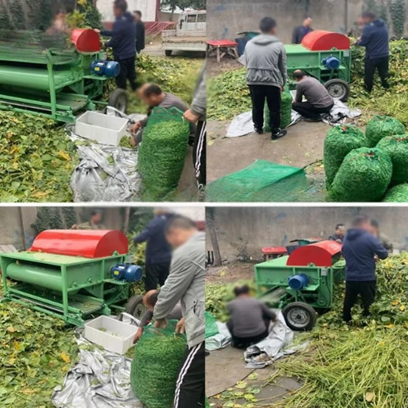 Small Mini Fresh Mung Bean Pod Collector Mung Bean Picker Green Bean Picker