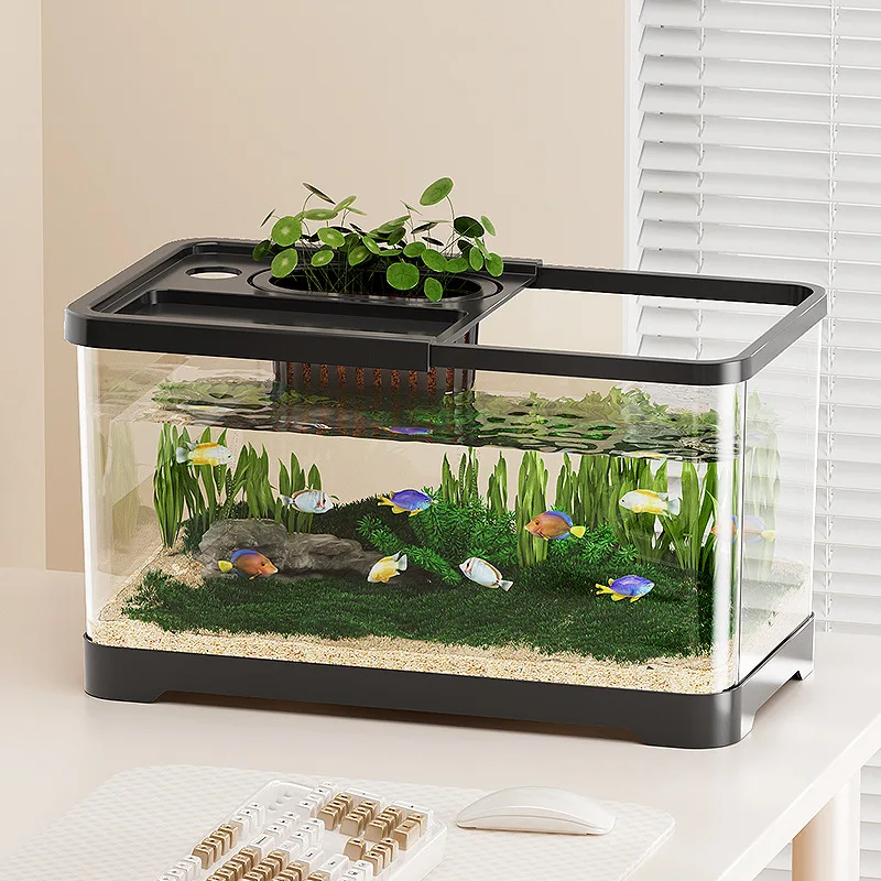 Thumbnail 3 - #11 Best Glass Aquarium Tanks to Buy In 2026