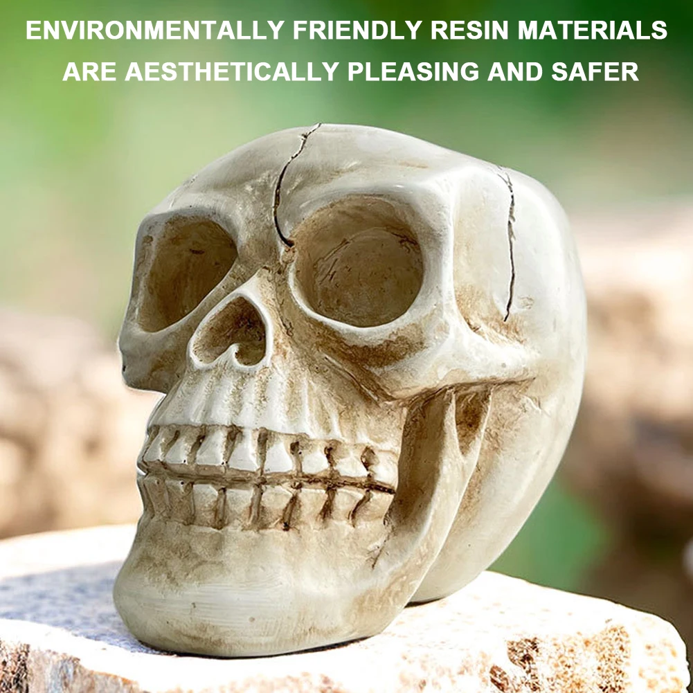 

Resin Skull Ornament Succulent Plant Pot Skull Head Model Flower Planter Container Skeleton Flower Pot Planter Sculpture