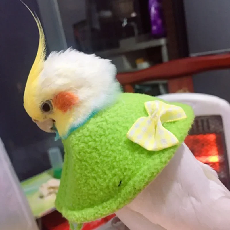 Eliza parakeet Injury protection collar scratching neck pecking Hair dark phoenix peony little sun cloak