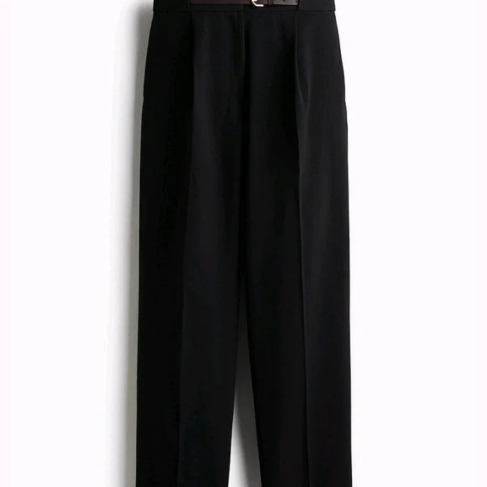 

High Waist Straight Leg Pants mat Sle Pleated Decoration Belted Women's Faion Autumn New Arrival Commute Sle
