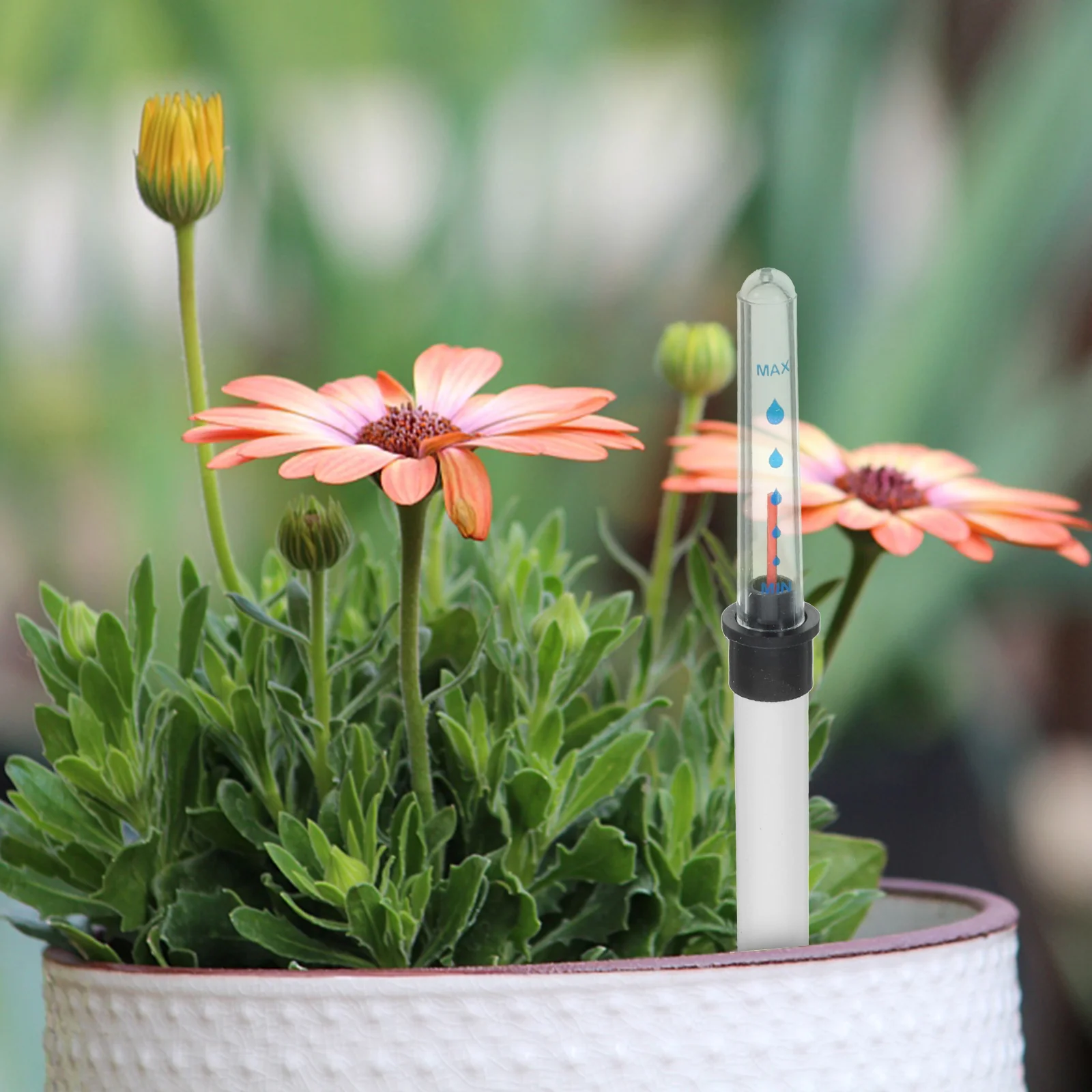 Medidores indicadores de nível de água vasos de plantas indicadores de umidade medidor casa plantas falta lembrete escala vasos de flores