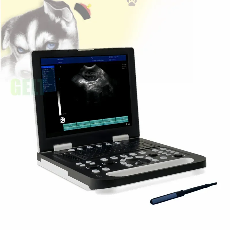 2025 hot sale G-800 Veterinary Scanner Animal Pet Clinic Portable Veterinary Machine 128 Elements