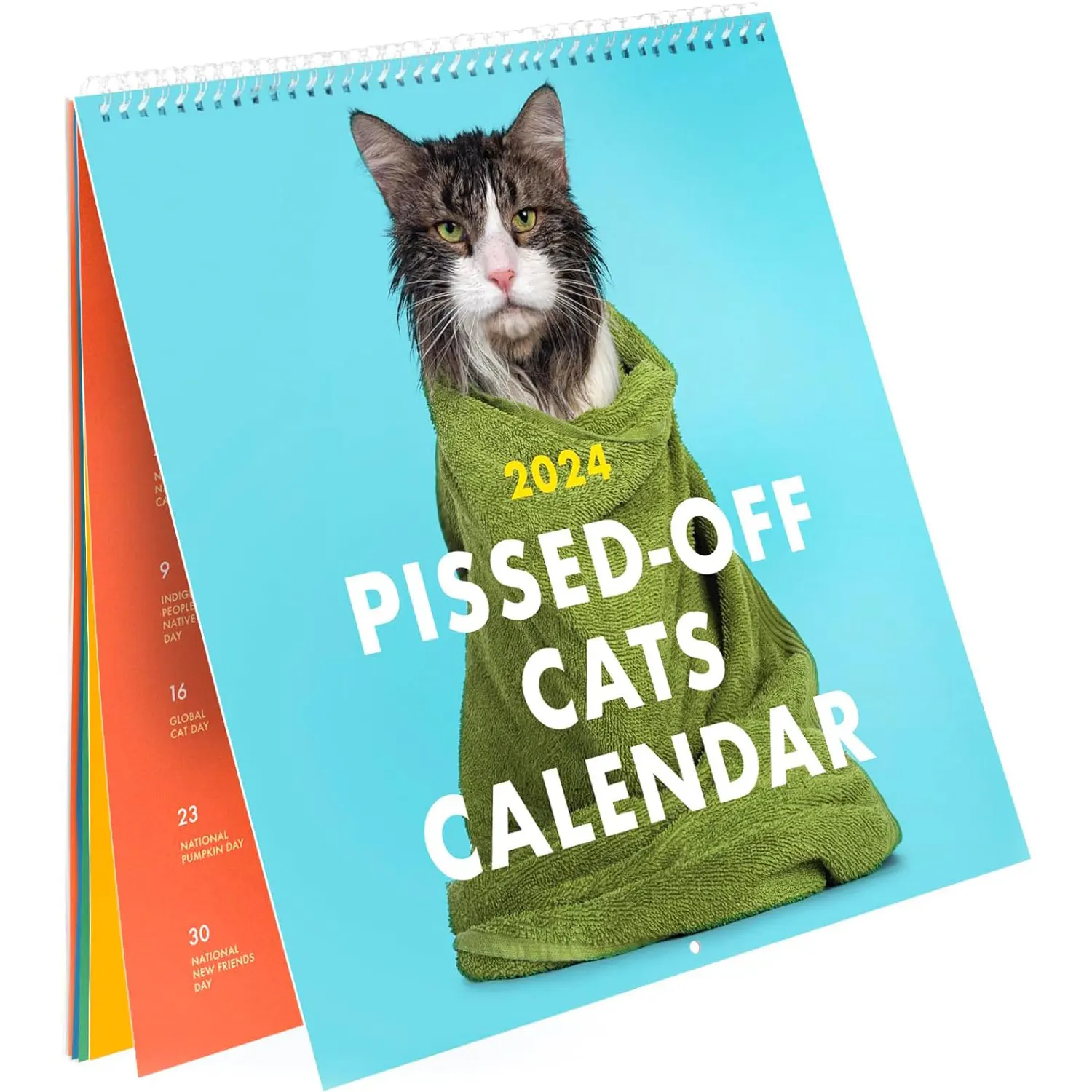 2024 Peed-Off Cats Calendar - Funny, Sassy Gift for Cat lovers - 12 Month Planner for Joke Present