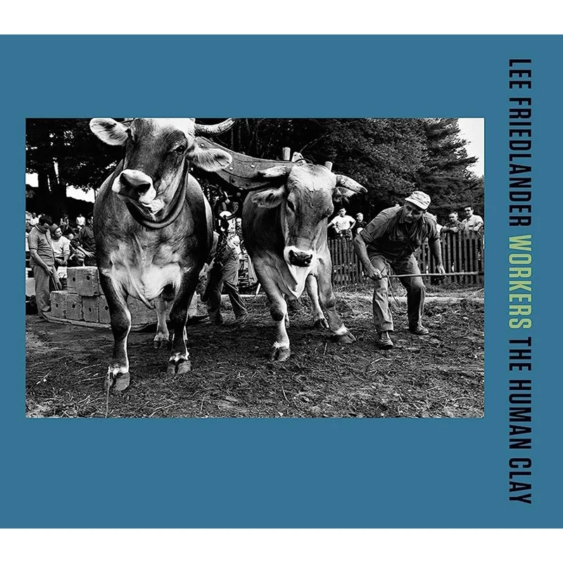 

Ли Фридландшера Работники Ли Фридленд Кэти Хомэнс Издательство Steidl 9783958295001 Книга