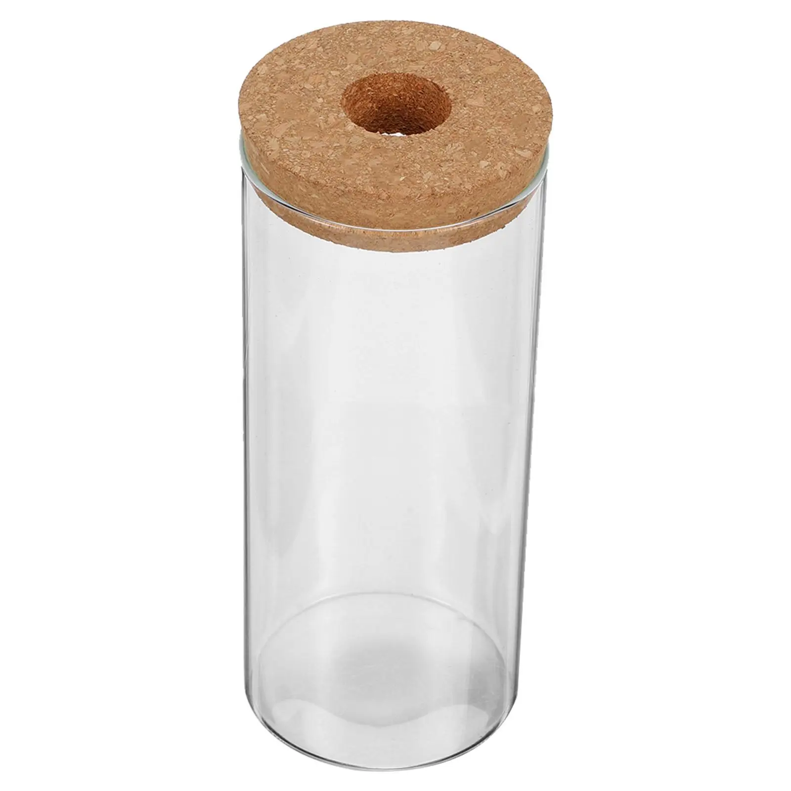 

Moss Hydroponic Plant Ecological Bottle Terrarium Micro Landscape Plants