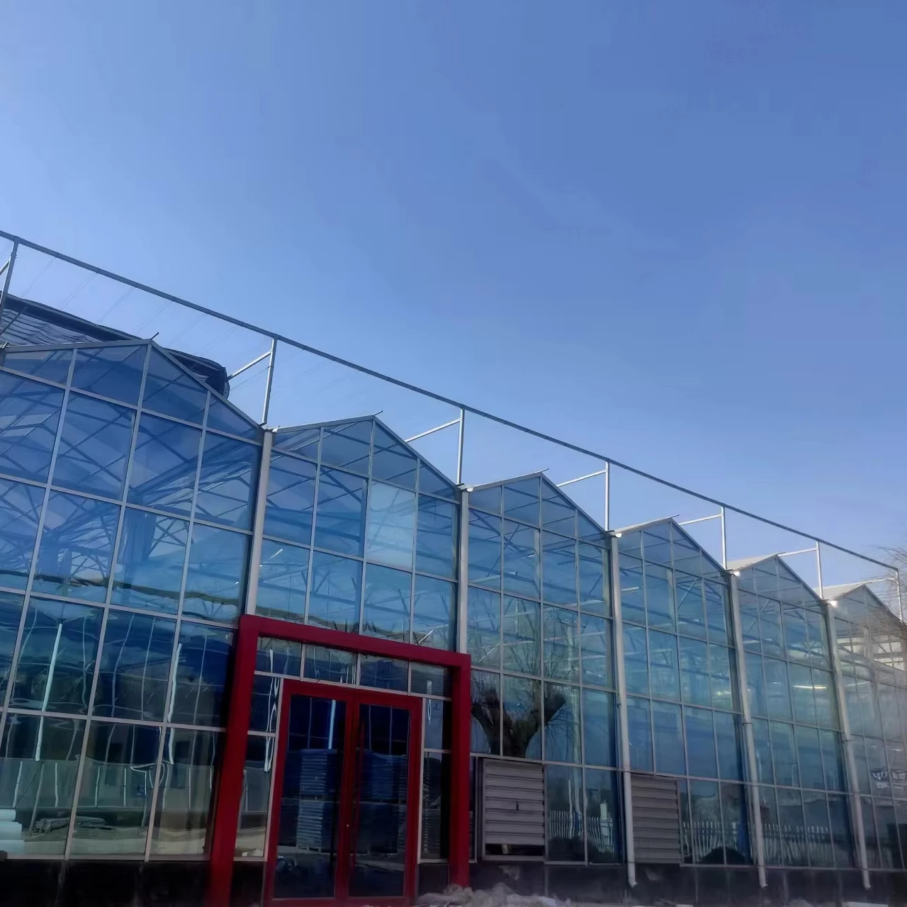 

Customized greenhouseIntelligent Agricultural Glass Greenhouse With Smart Climate Control System for Commercial Farming