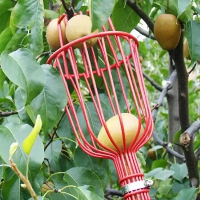 Obstpflücker, Käfigform, Obstkopf, Pflücken, Loquat, Birne, Obstwerkzeuge, abnehmbarer Obstpflücker für Bauernhof, Obstgarten, Gärten, Werkzeug – Detail 3