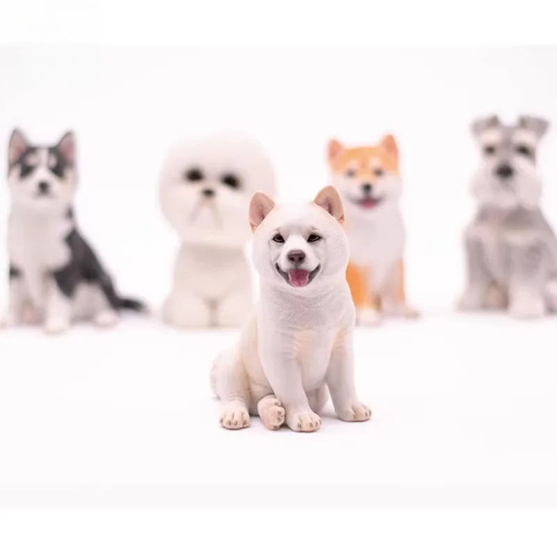 JXK 1/6 Skala Sibirski Husky/Shiba Inu/Schnauzer/Bichon Frise Model Symulacyjny Psa Zwierzęcia Pasujący do Dekoracji Biurka